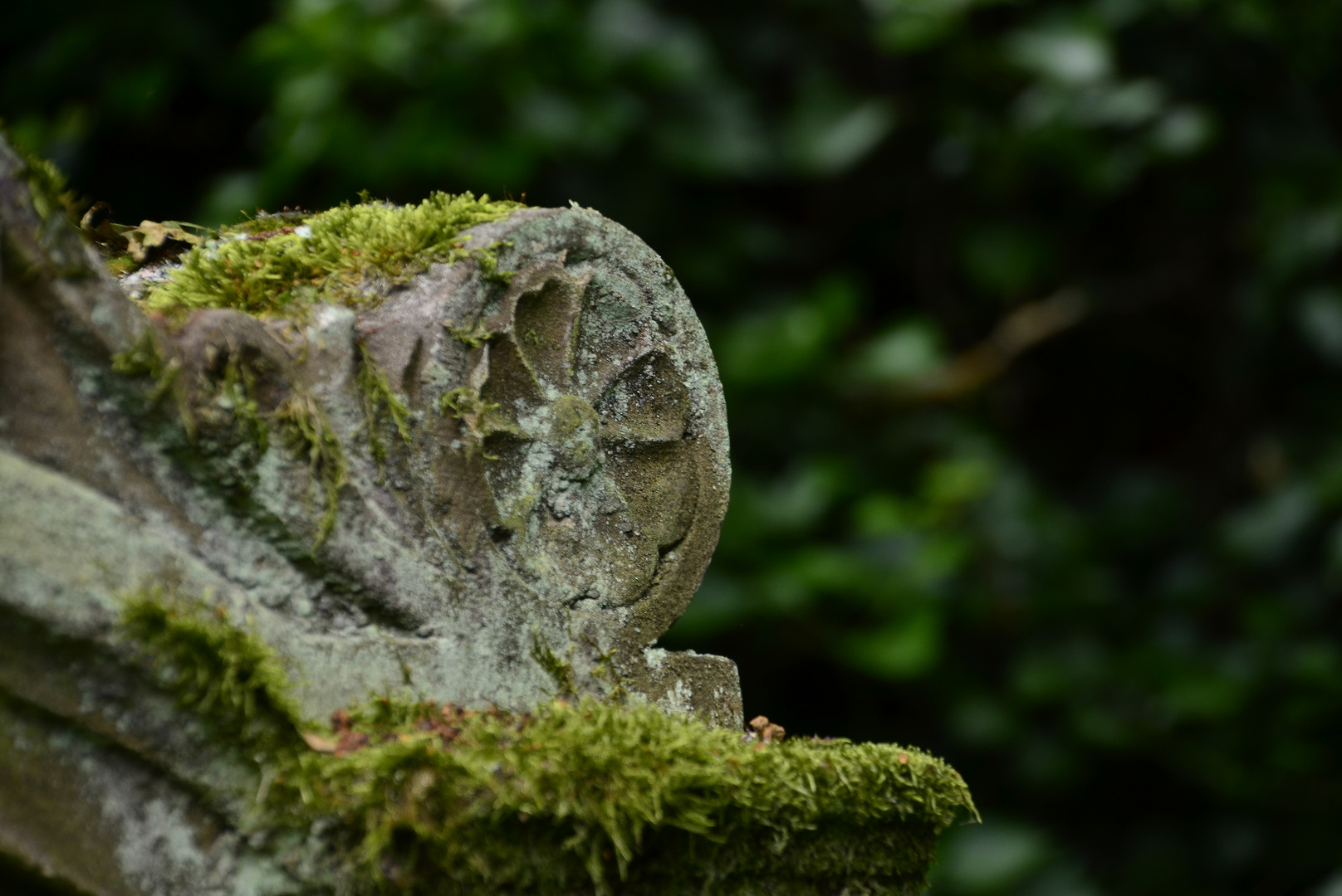 Alter Friedhof, Saarbrücken