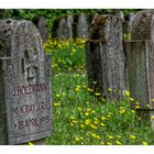 Alter Friedhof Saarlouis 