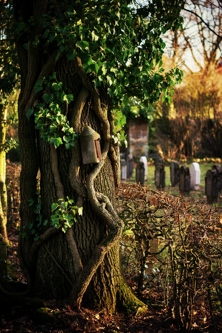 Alter Friedhof Saarlouis