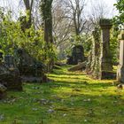 Alter Friedhof "SEGEROTH"