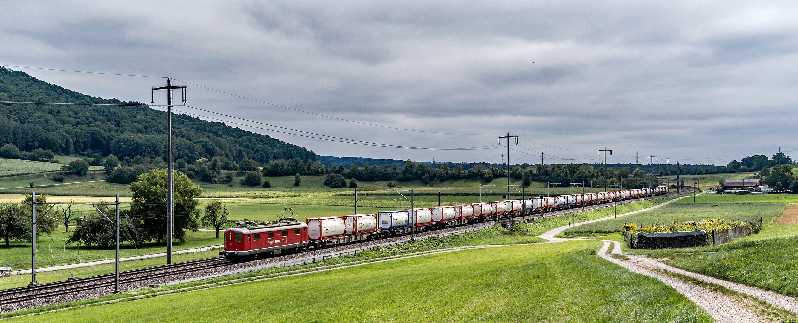 Alter Gaul vor neuen Wagen