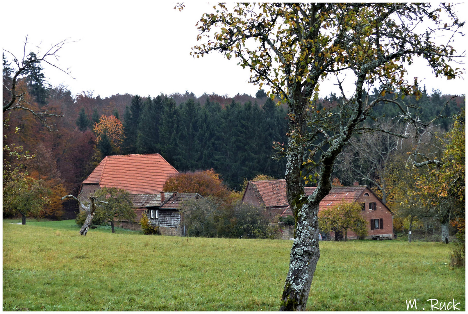 Alter Gutshof im Spessart 