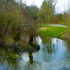 alter Hafen Krudenburg