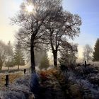 Alter Handelsweg in Böhmen