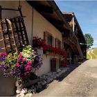 Alter Heuschlitten in Sextental