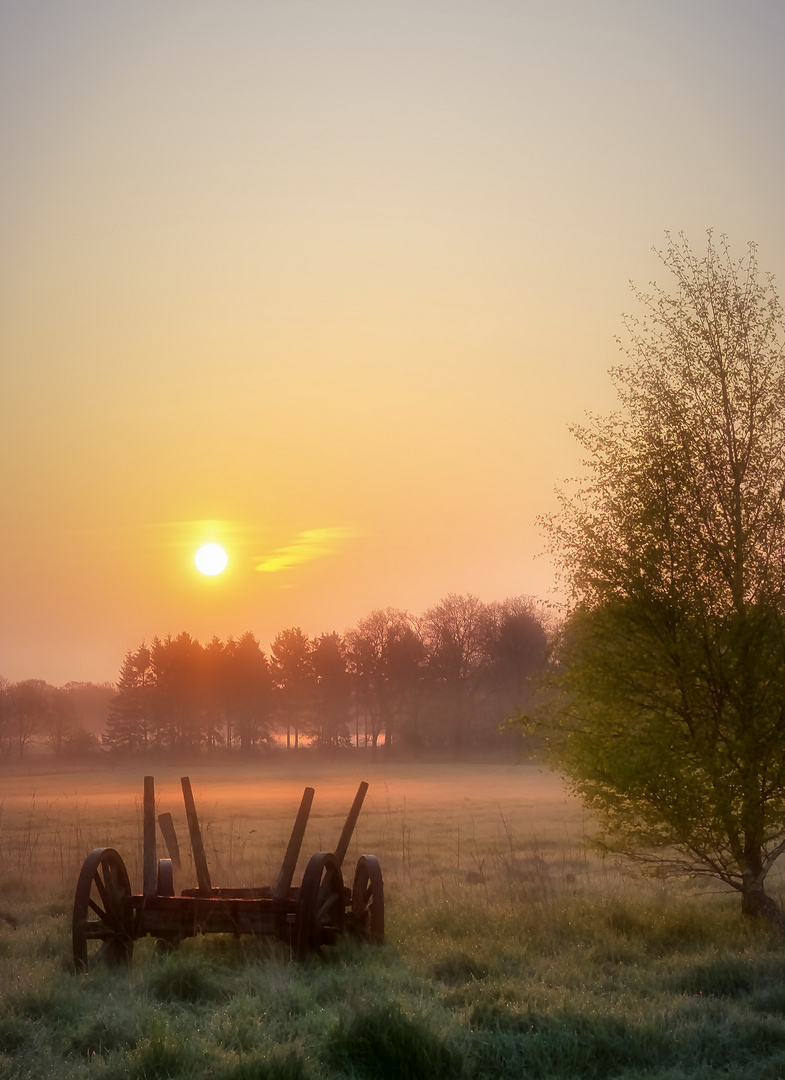 alter Heuwagen in der Morgensonne