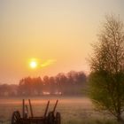 alter Heuwagen in der Morgensonne