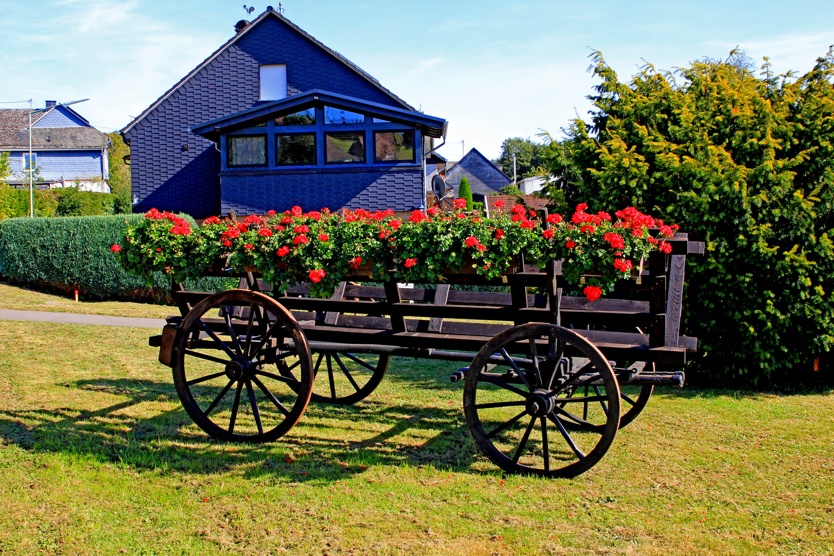 Alter historischer Leiterwagen mit Blumen dekoriert (Wilnsdorf-Anzhausen)          