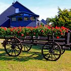 Alter historischer Leiterwagen mit Blumen dekoriert (Wilnsdorf-Anzhausen)          