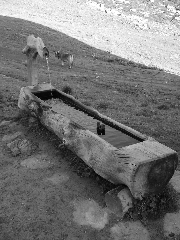 Alter Holzbrunnen in den Bergen