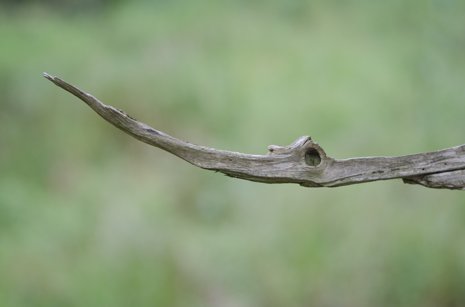 alter Holzkranich