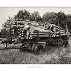 Alter Holztrailer