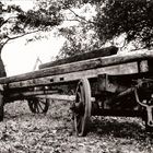 Alter Holzwagen