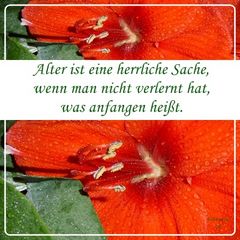 Alter ist eine herliche Sache ...