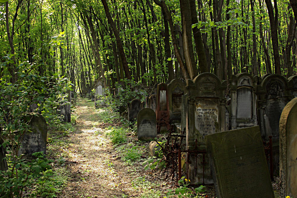 Alter Judenfriedhof in Warschau