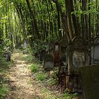 Alter Judenfriedhof in Warschau