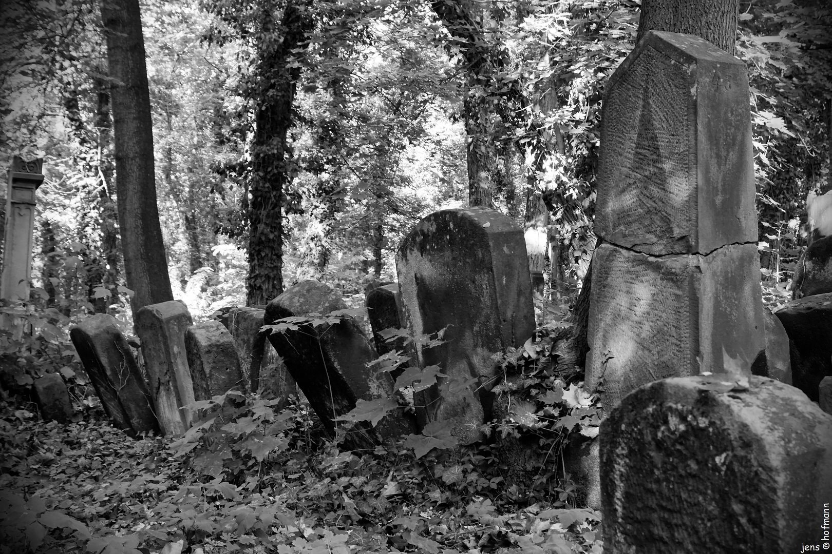 Alter Jüdische Friedhof Fürth