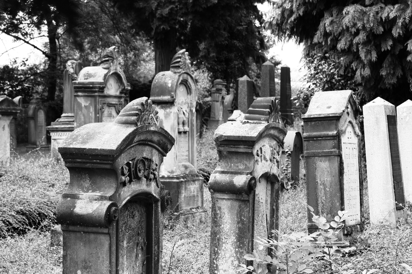 Alter Jüdischer Friedhof 07.08.2011