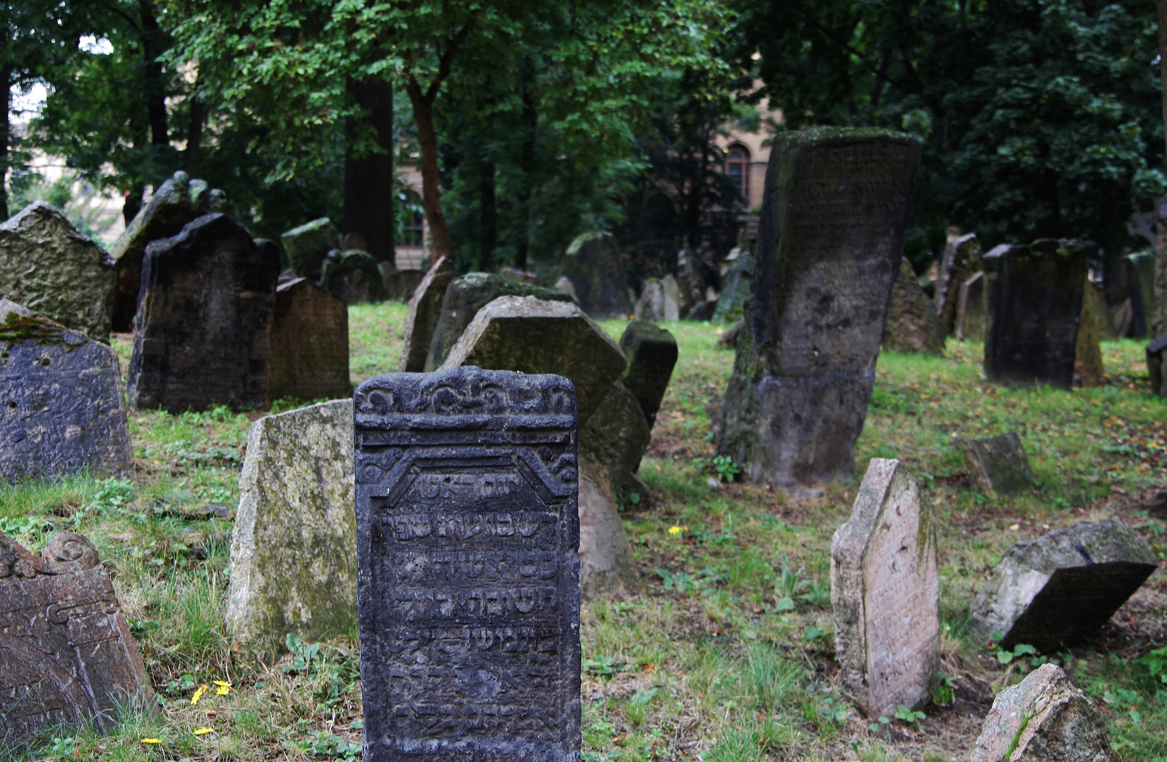 alter jüdischer Friedhof