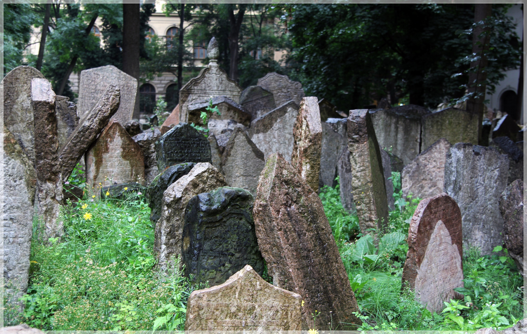 alter jüdischer Friedhof