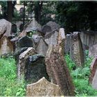 alter jüdischer Friedhof