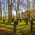 alter jüdischer Friedhof