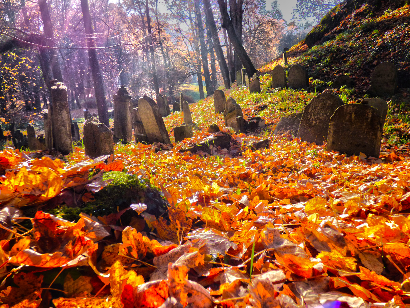 Alter jüdischer Friedhof