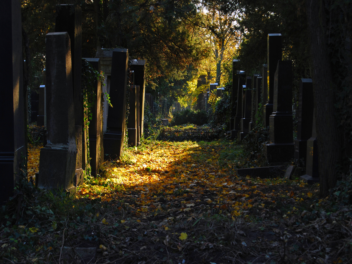 Alter jüdischer Friedhof