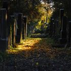 Alter jüdischer Friedhof