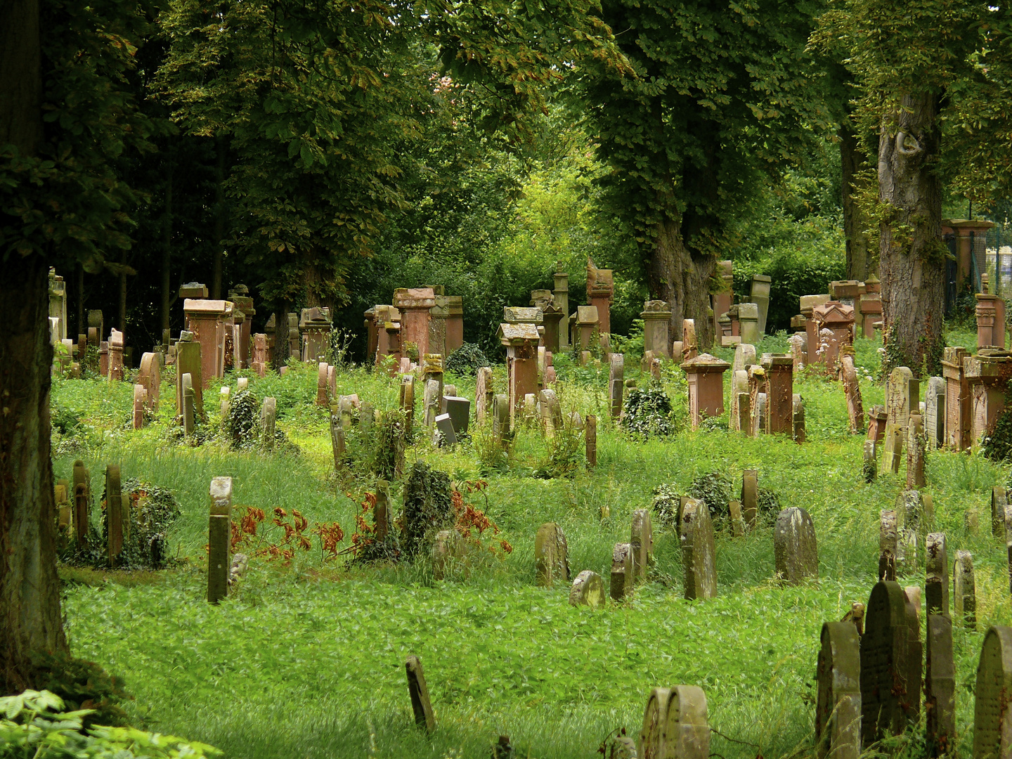 alter jüdischer Friedhof