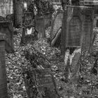 Alter jüdischer Friedhof Frankfurt