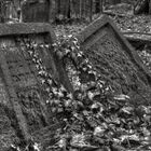 Alter jüdischer Friedhof Frankfurt