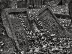 Alter jüdischer Friedhof Frankfurt