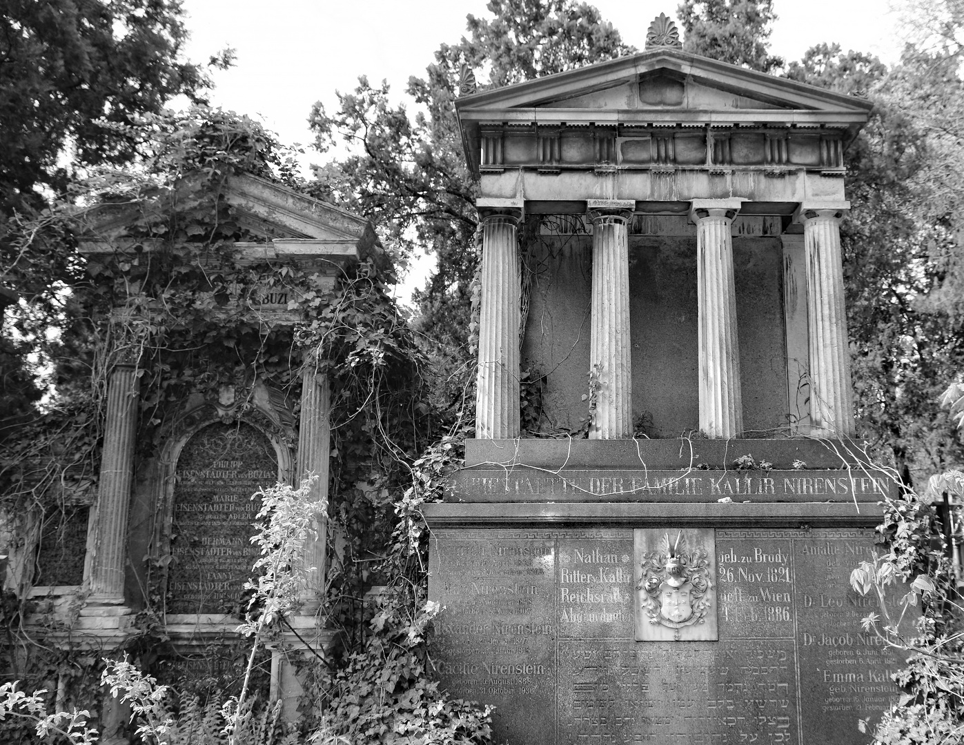 Alter Jüdischer Friedhof im Wiener Zentralfriedhof