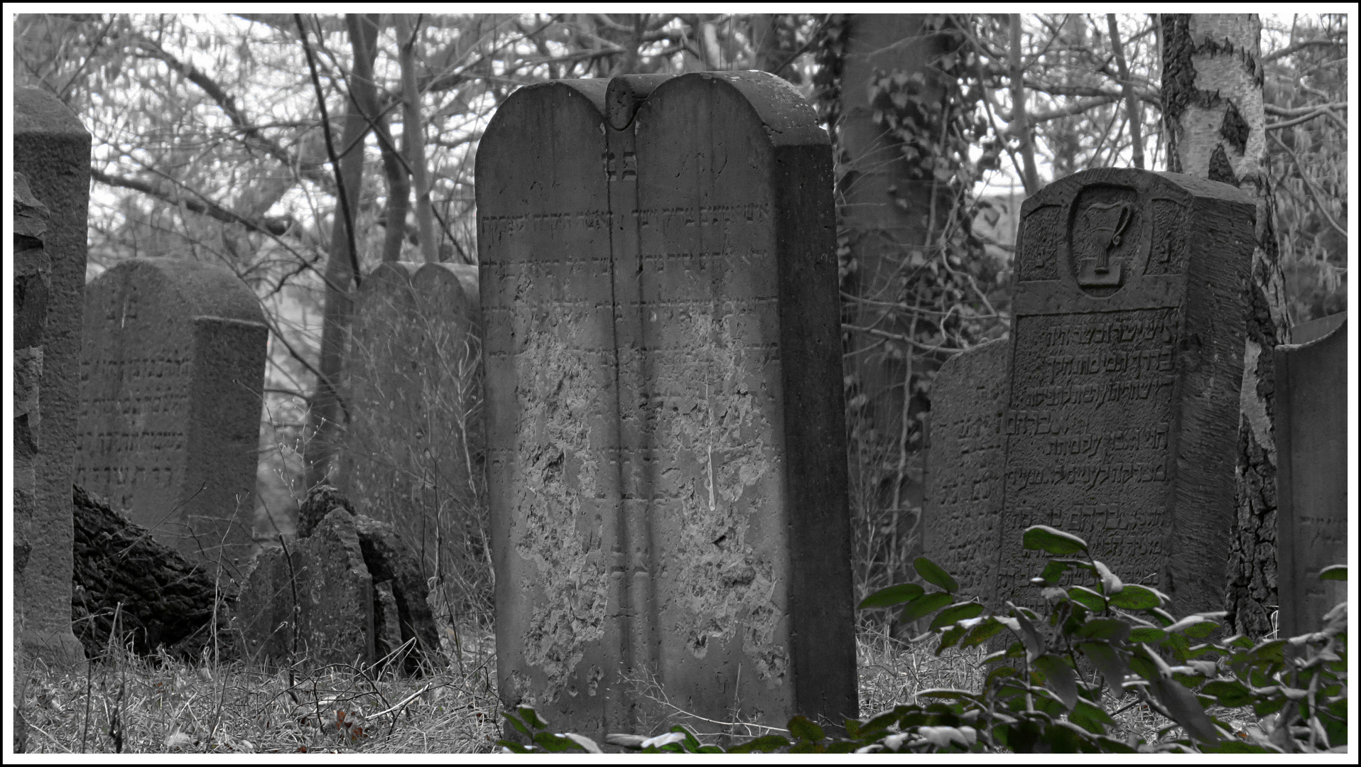 Alter jüdischer Friedhof in Bad Segeberg