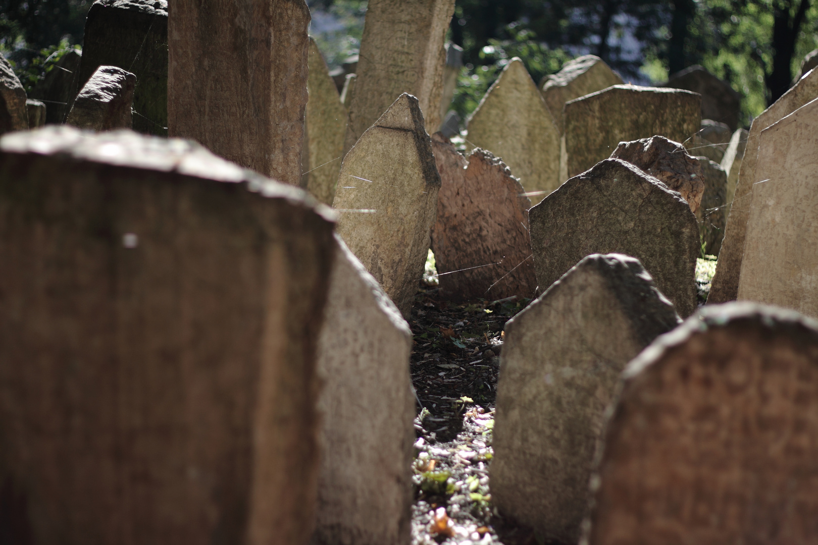Alter Jüdischer Friedhof in Prag