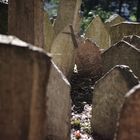 Alter Jüdischer Friedhof in Prag