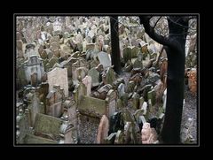 Alter Jüdischer Friedhof in Prag