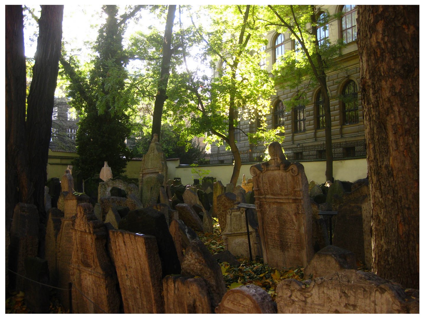 Alter Jüdischer Friedhof in Prag