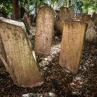 Alter Jüdischer Friedhof (Prag)