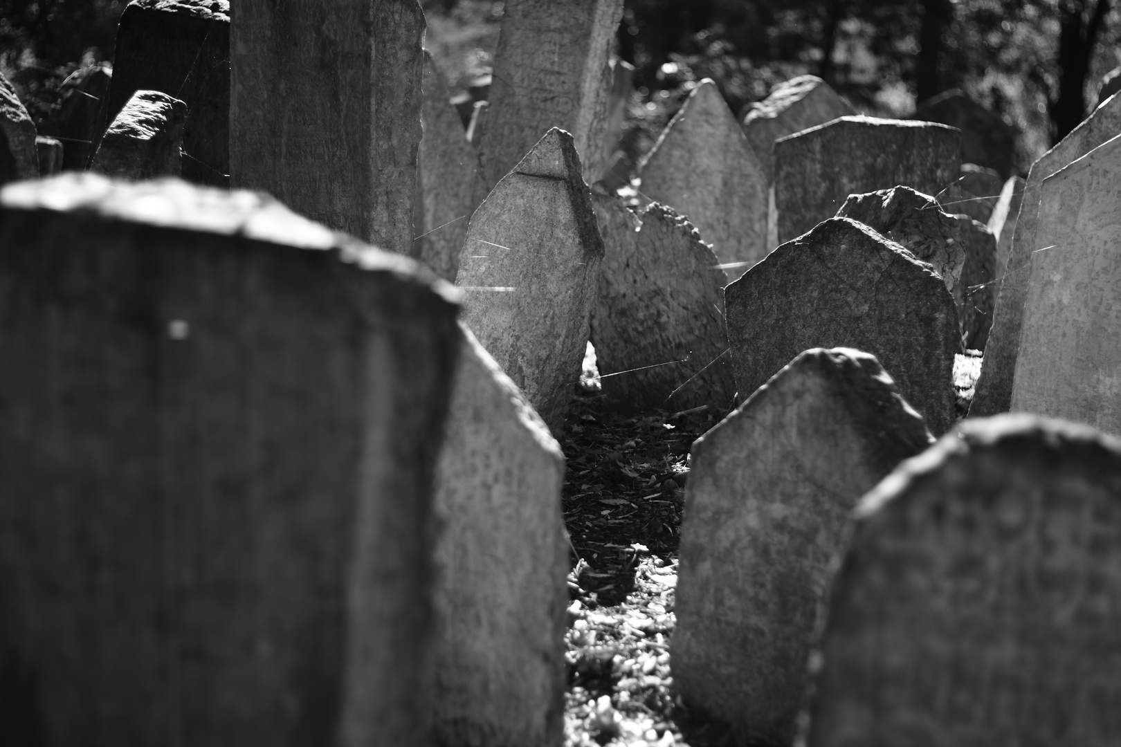 Alter Jüdischer Friedhof, Praha