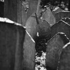 Alter Jüdischer Friedhof, Praha