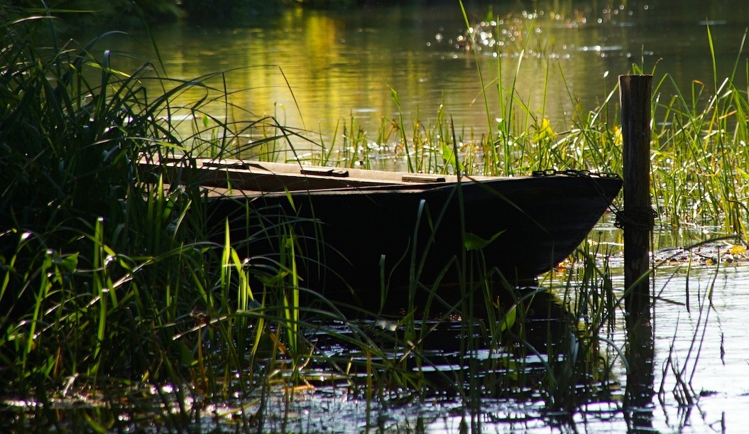 Alter Kahn im Spreewald...