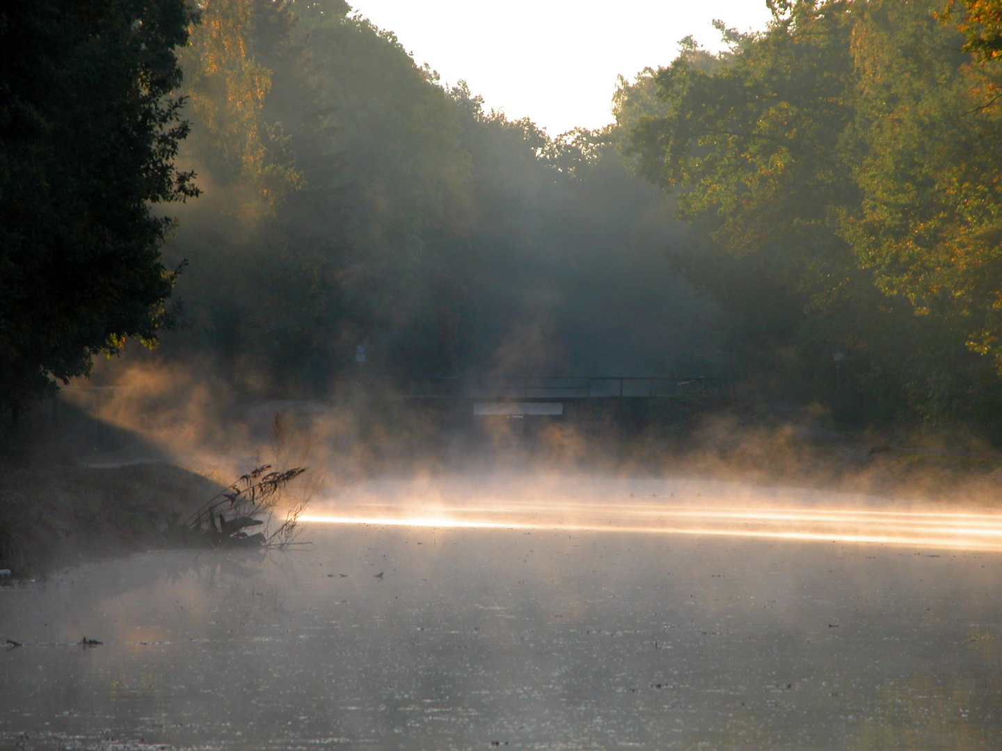 Alter Kanal am Morgen