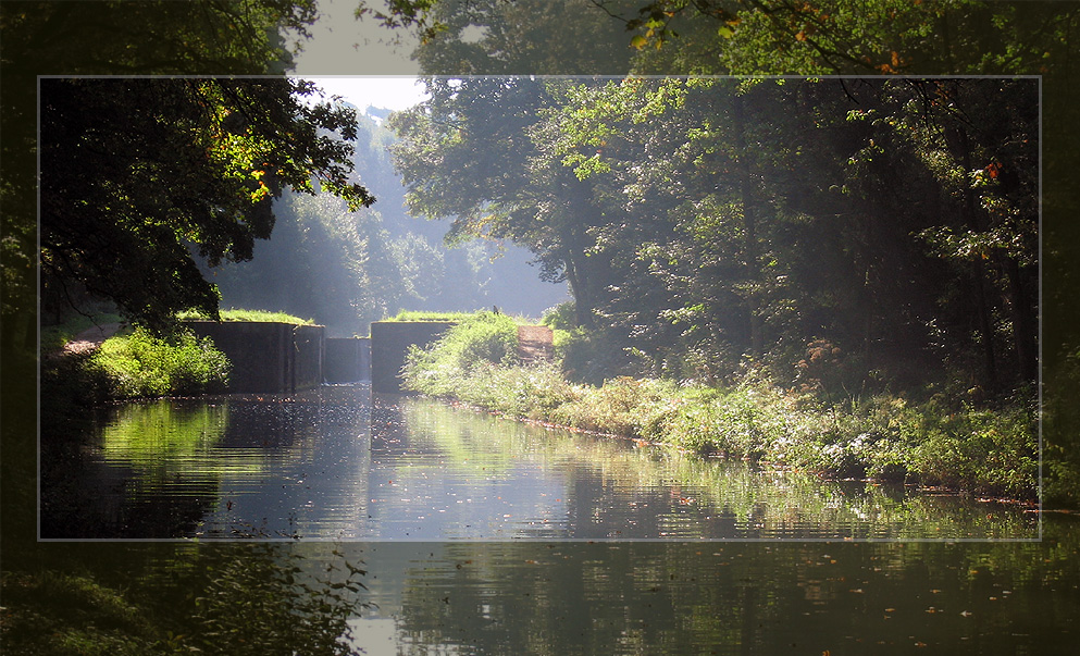 Alter Kanal im Spätsommer