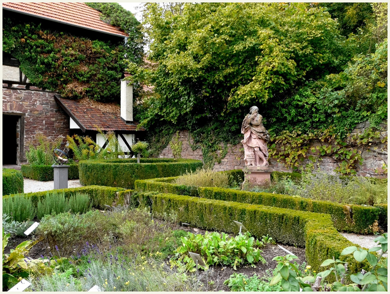 alter Kräutergarten