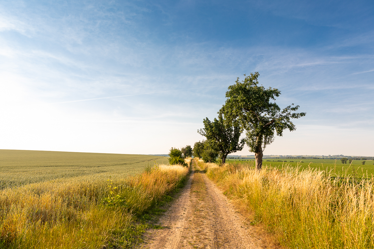 Alter Landweg