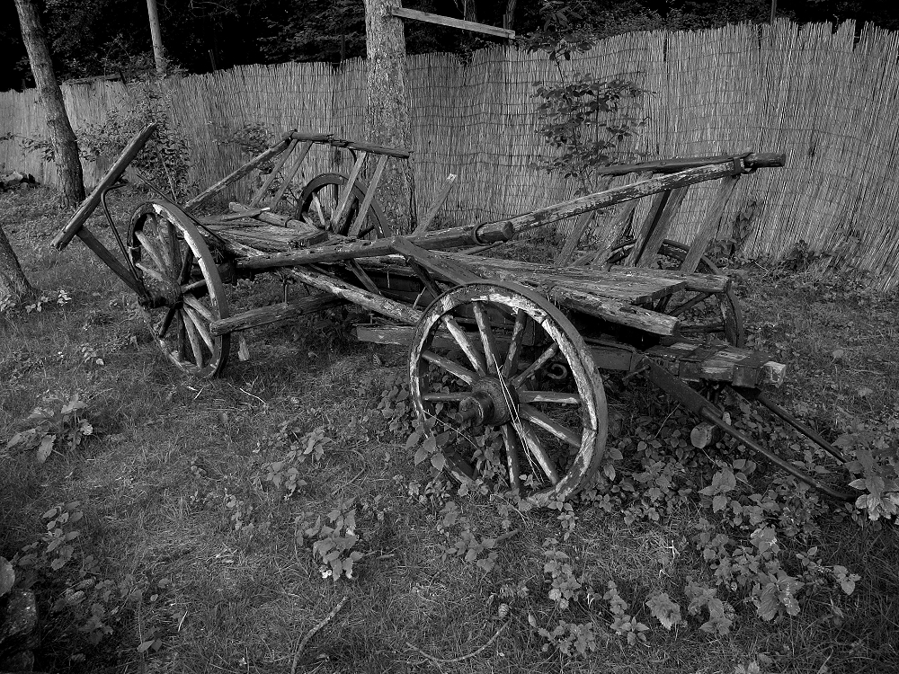 alter Leiterwagen im Anglerpark bei Gräfenhausen (Weiterstadt)