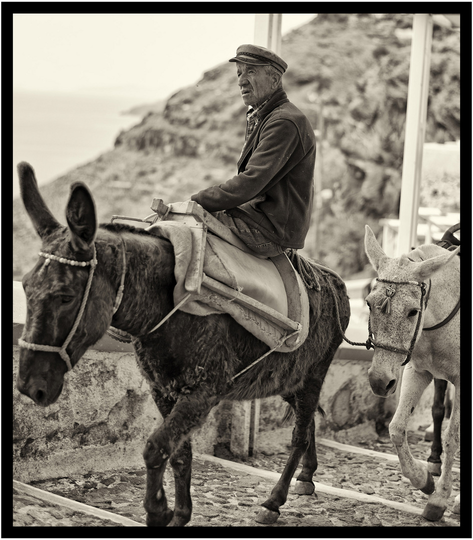 alter Mann auf Esel Griechenland