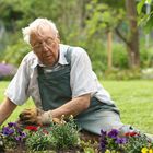 alter Mann im Garten